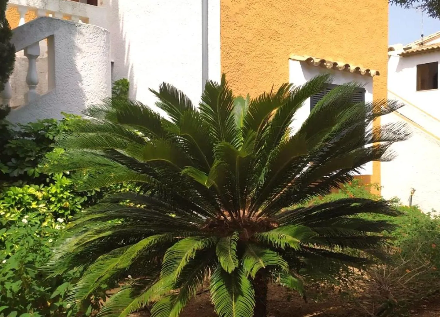 Apartament Tantra Majorca With Pool Port de Pollença